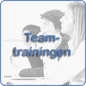 360 graden Feedback, Leary, Belbin Kolb Specialisten in Samenwerken Teambuilding Heidagen Teamtrainingen Quinn Testsysteem Groepsdynamica Valide Betrouwbaar Assessment Handy